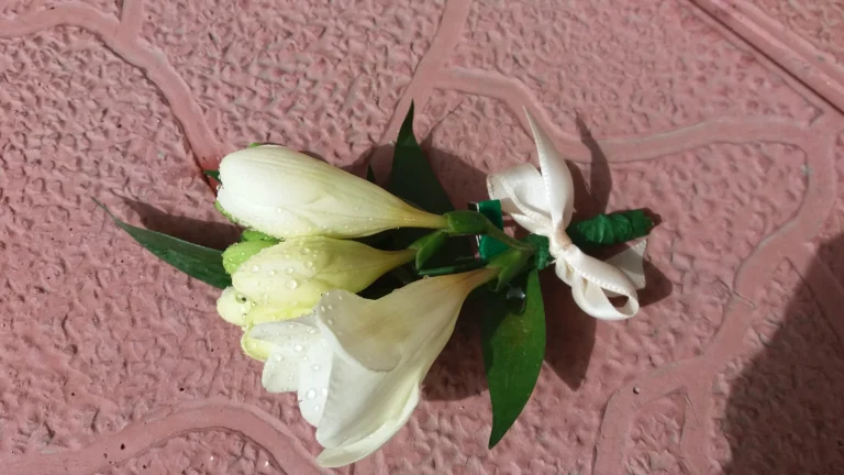 20170429_105035