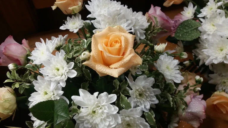 20170922_122631