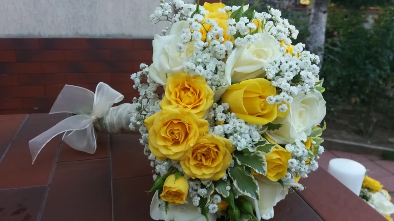 20171014_100410