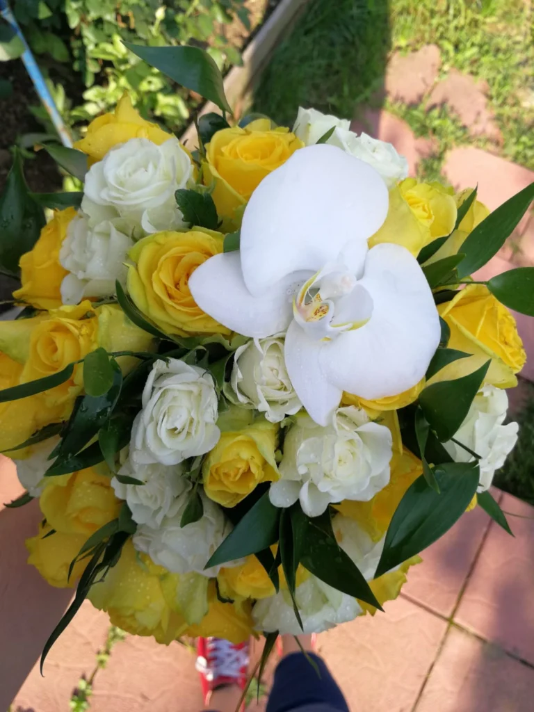 IMG-20180714-WA0019