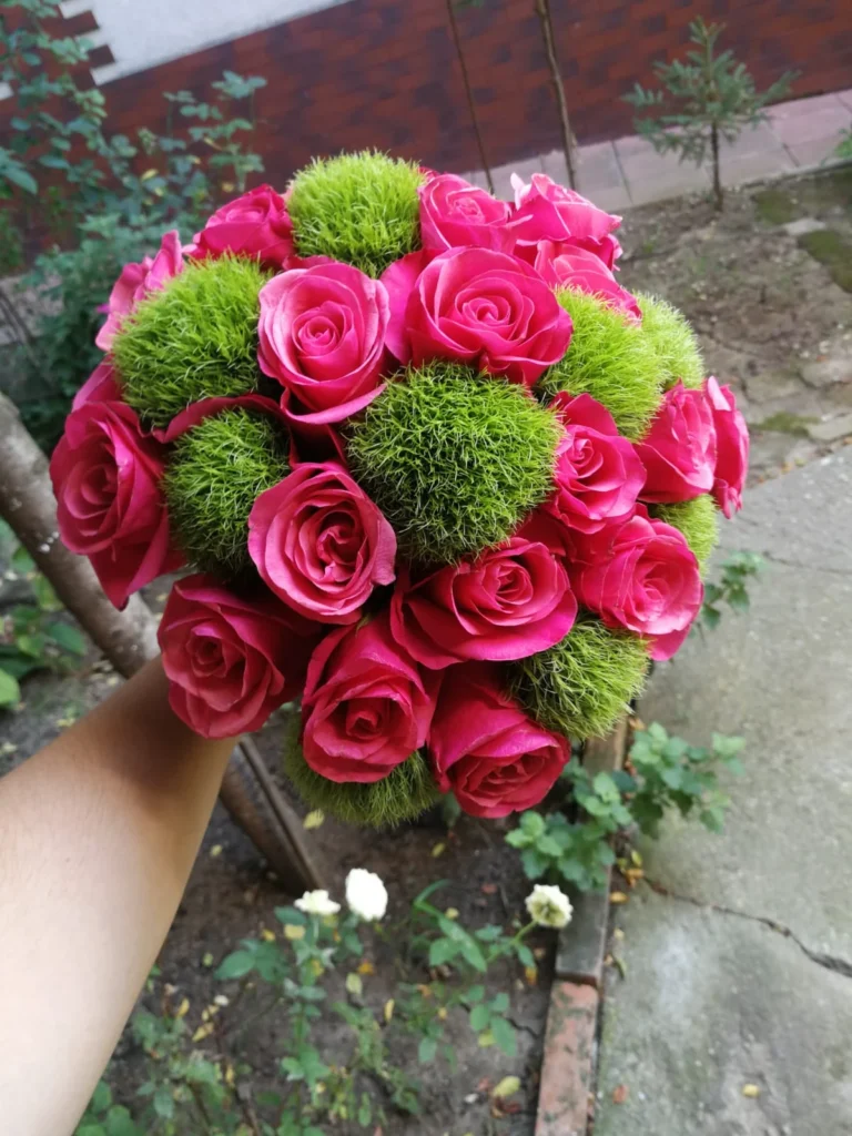 IMG-20180817-WA0089