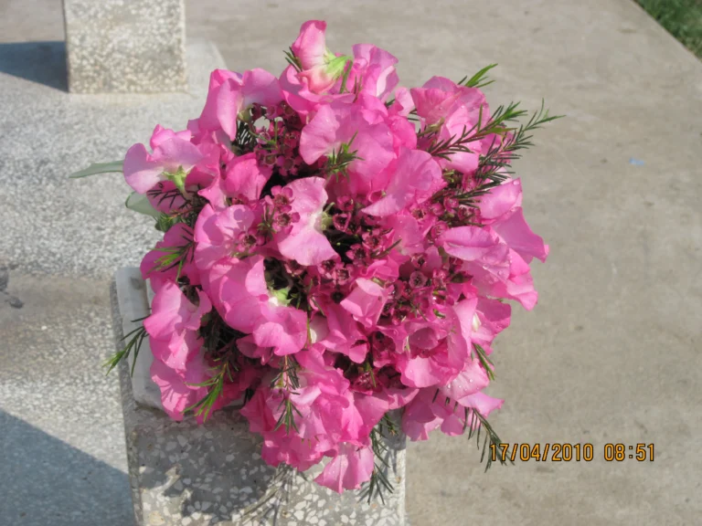 Picture 022