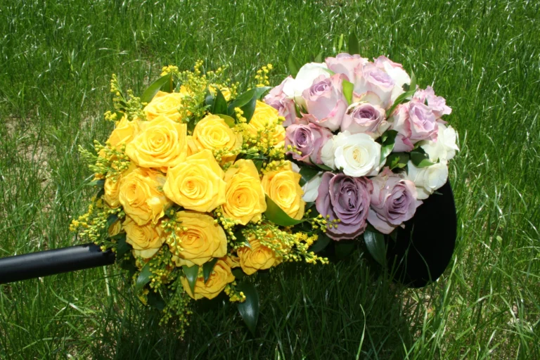 photo 003